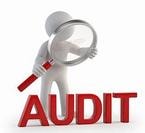 Audit magnifying glass icon